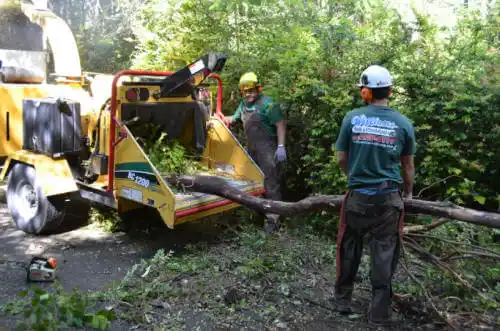 tree services Lewistown